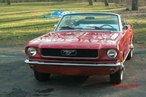 66mustang 66mustang