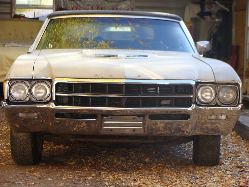 skylark skylark