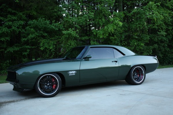 finch_69