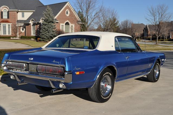 cougar